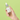 Tea Tree Relief Serum iUNIK dans main Kosmetics and Koffee